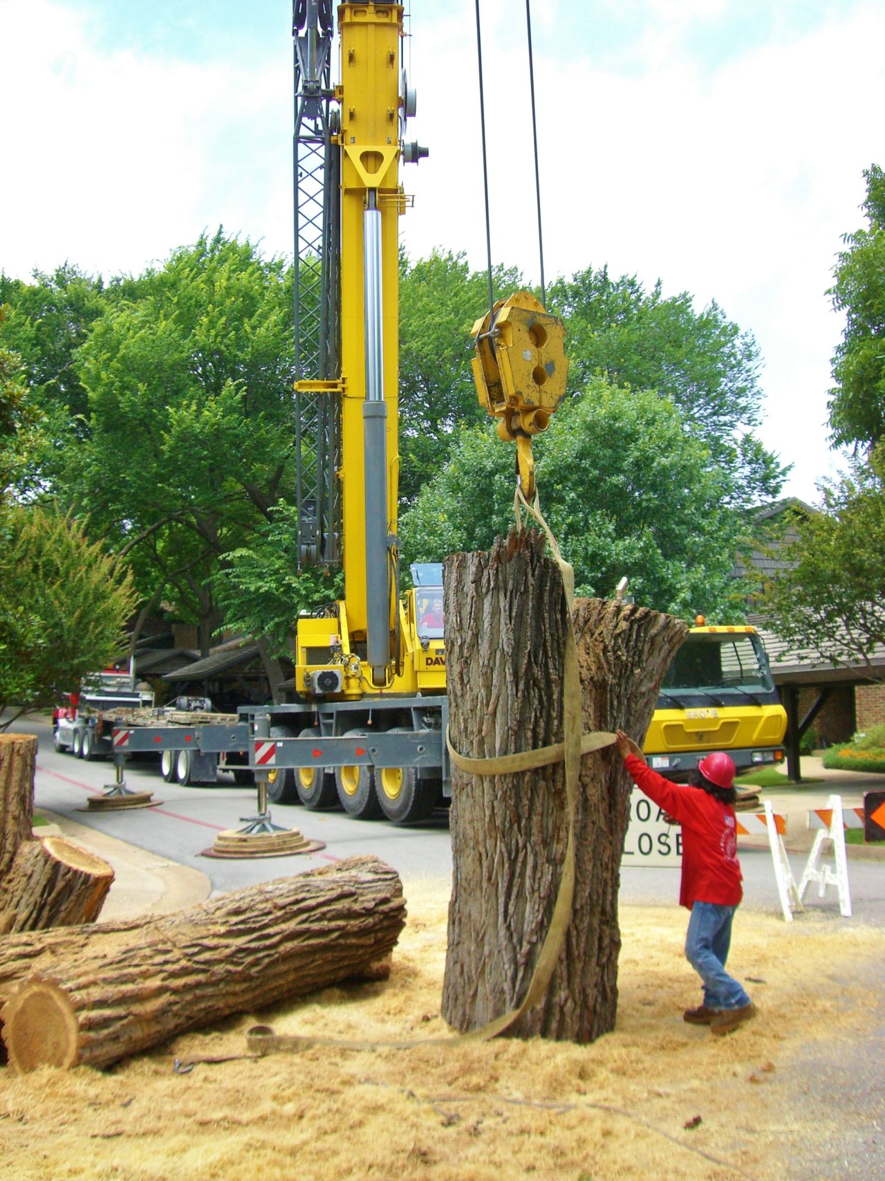 Tree Work Using Crane Crane Service | A Better Arborist®