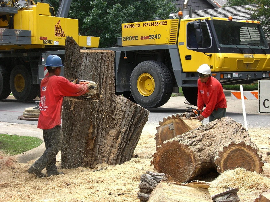 Tree service crane operation